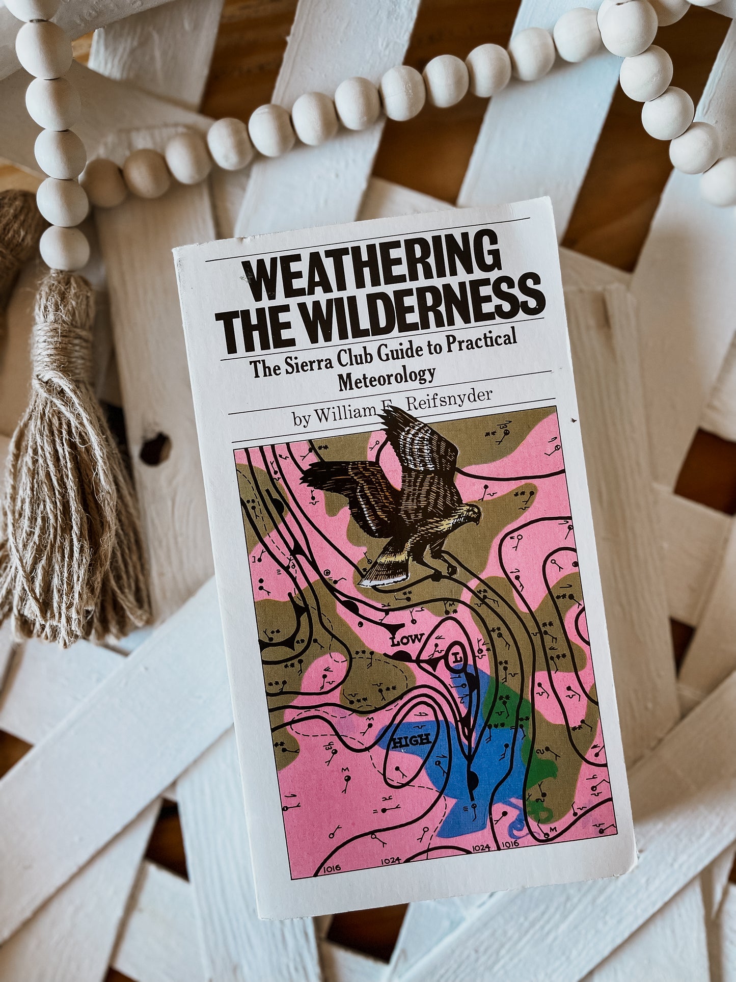 Weathering The Wilderness Book